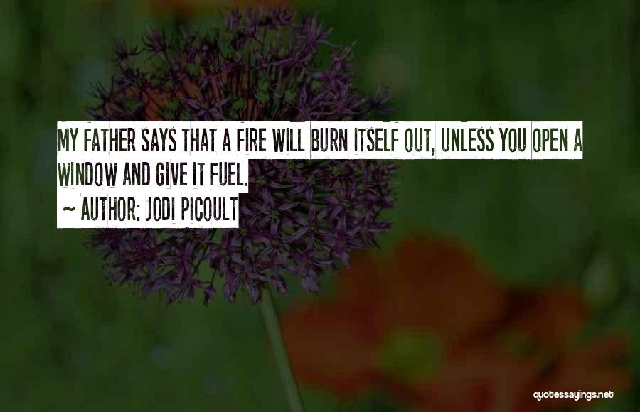 Fire Burn Quotes By Jodi Picoult