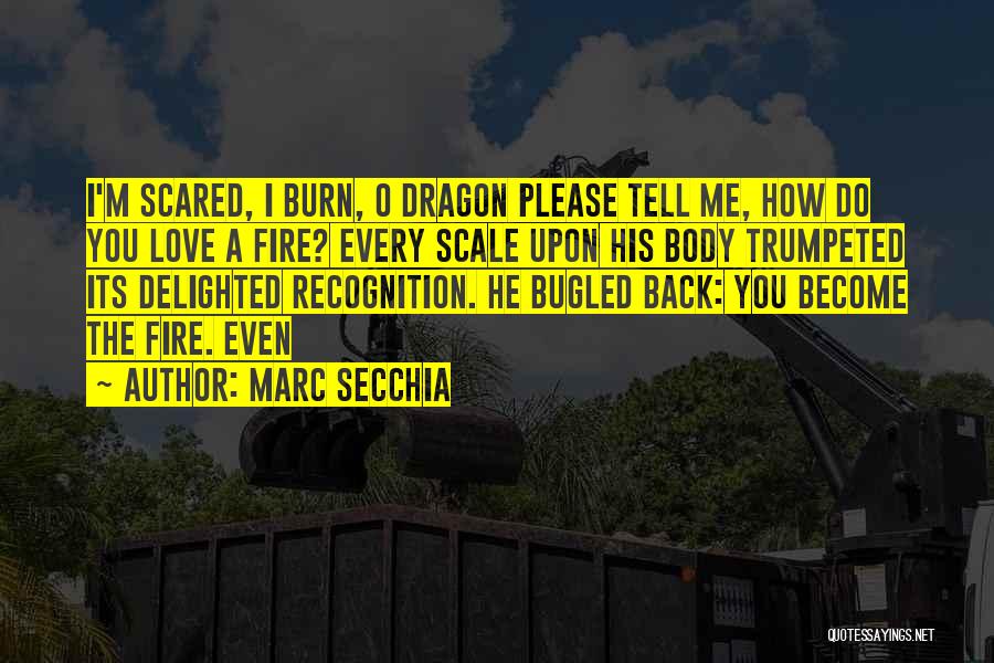 Fire Burn Quotes By Marc Secchia