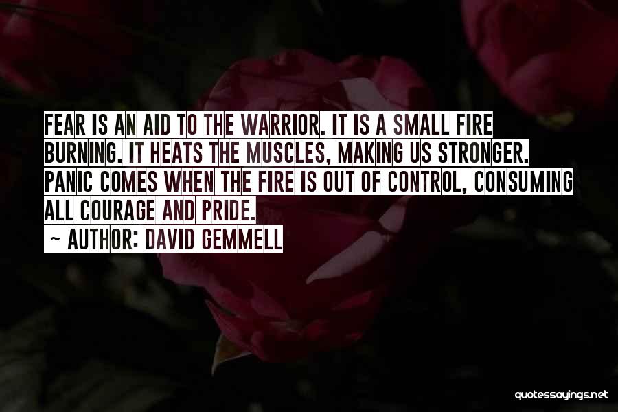 Fire Burning Out Quotes By David Gemmell