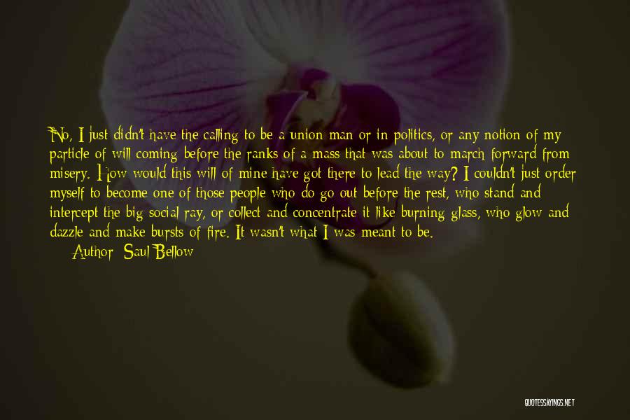 Fire Burning Out Quotes By Saul Bellow