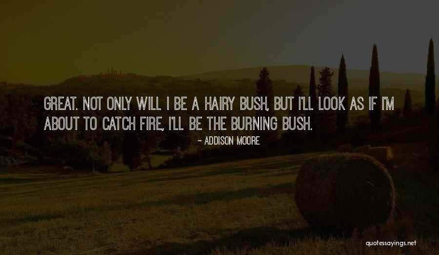 Fire Burning Quotes By Addison Moore Fire Burning Quotes By Addison Moore