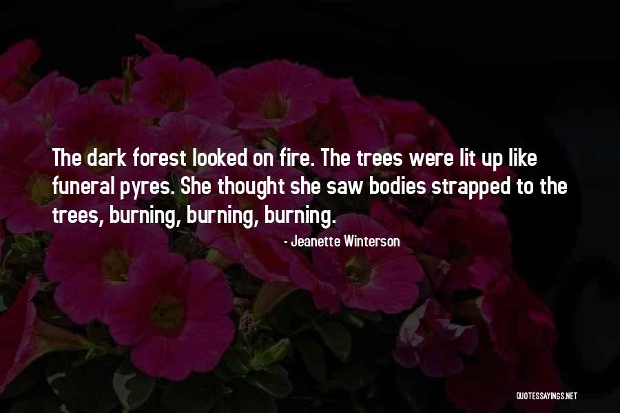 Fire Burning Quotes By Jeanette Winterson Fire Burning Quotes By Jeanette Winterson