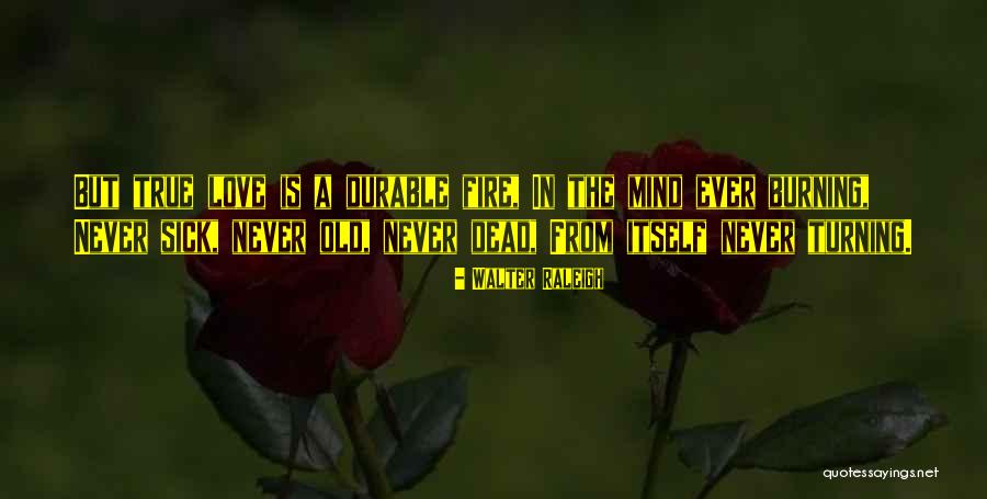 Fire Burning Quotes By Walter Raleigh Fire Burning Quotes By Walter Raleigh