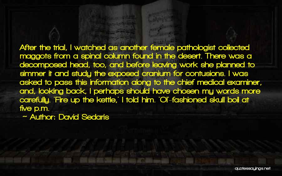 Fire Chief Quotes By David Sedaris