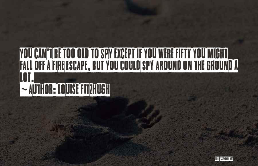 Fire Escape Quotes By Louise Fitzhugh