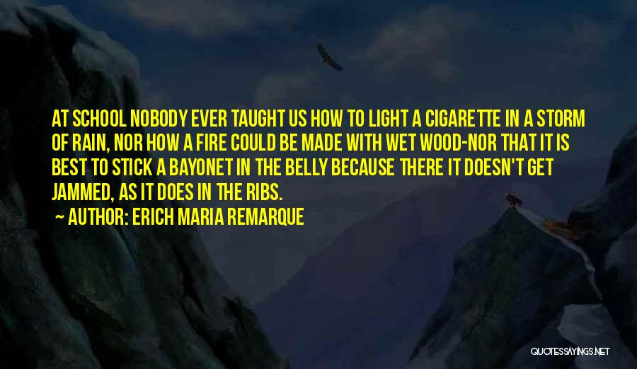 Fire In Belly Quotes By Erich Maria Remarque