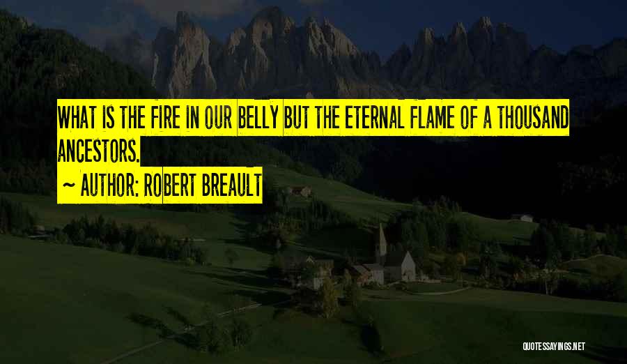 Fire In Belly Quotes By Robert Breault