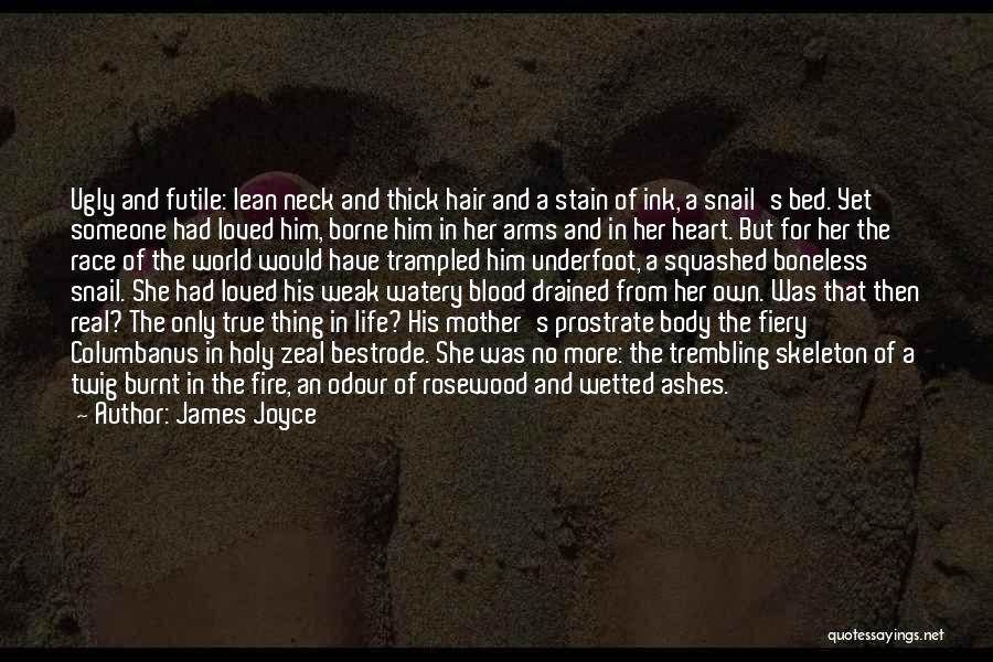Fire In Her Heart Quotes By James Joyce
