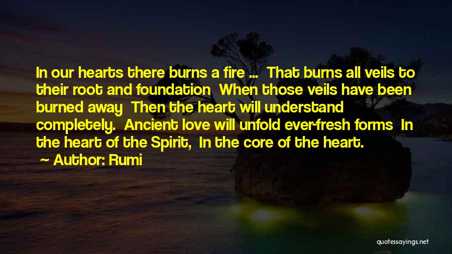 Fire In Our Hearts Quotes By Rumi