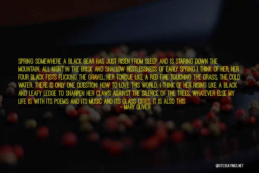 Fire In The Darkness Quotes By Mary Oliver Fire In The Darkness Quotes By Mary Oliver