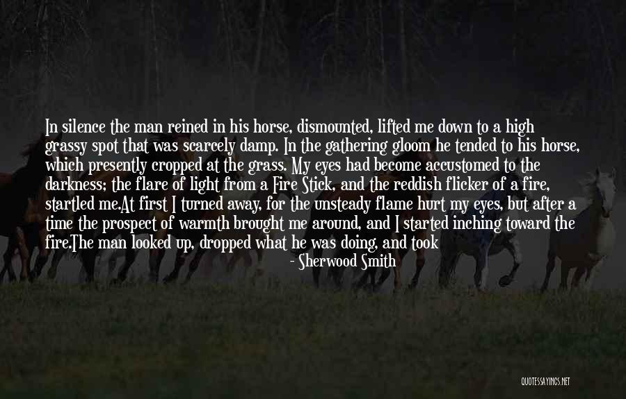 Fire In The Darkness Quotes By Sherwood Smith Fire In The Darkness Quotes By Sherwood Smith
