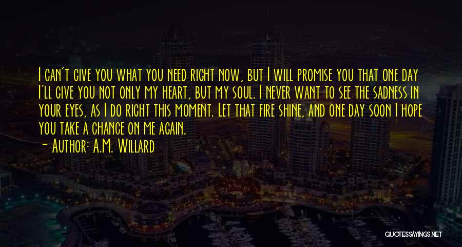 Fire In The Eyes Quotes By A.M. Willard