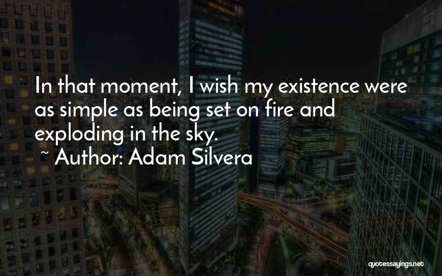 Fire In The Sky Quotes By Adam Silvera