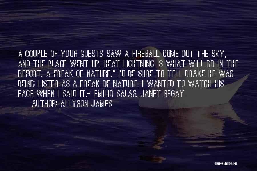 Fire In The Sky Quotes By Allyson James