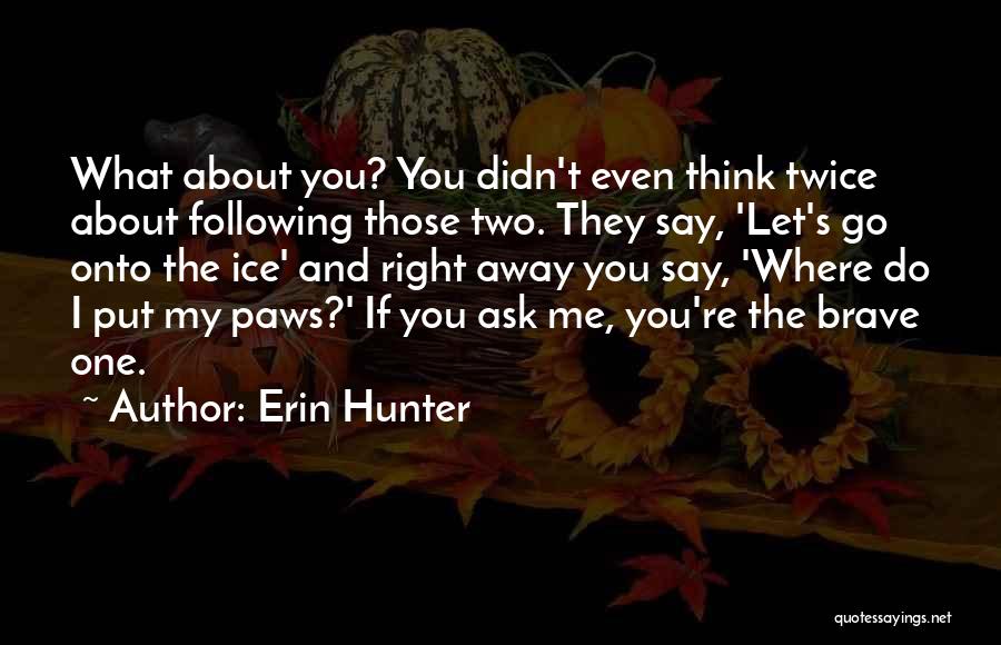 Fire In The Sky Quotes By Erin Hunter