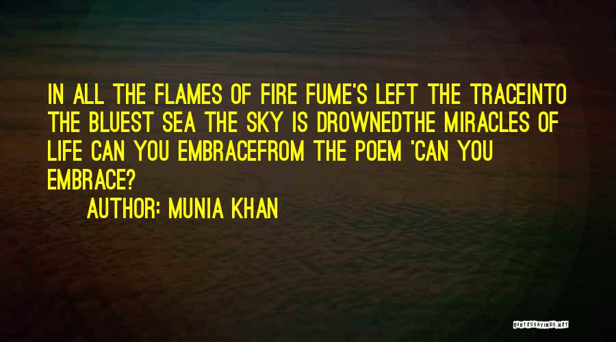 Fire In The Sky Quotes By Munia Khan