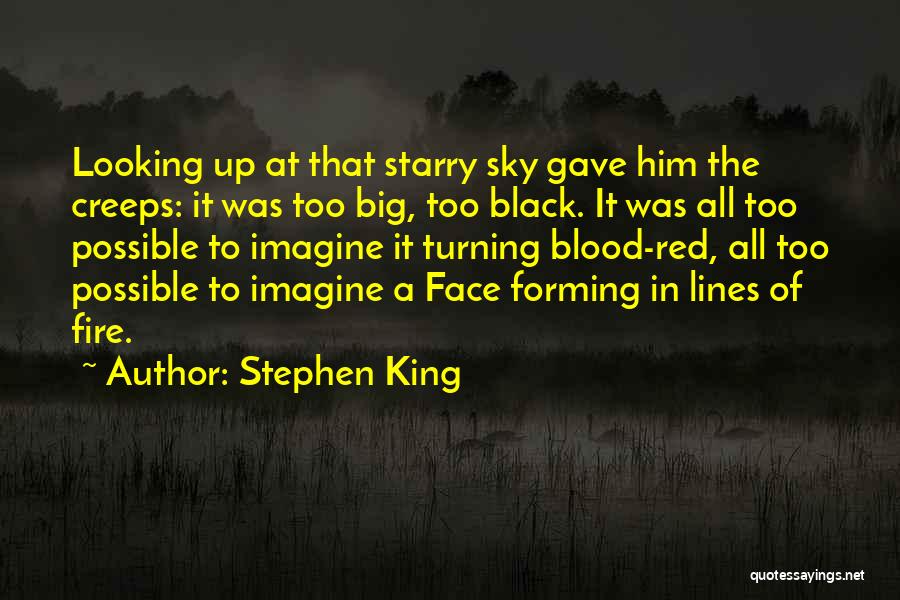 Fire In The Sky Quotes By Stephen King