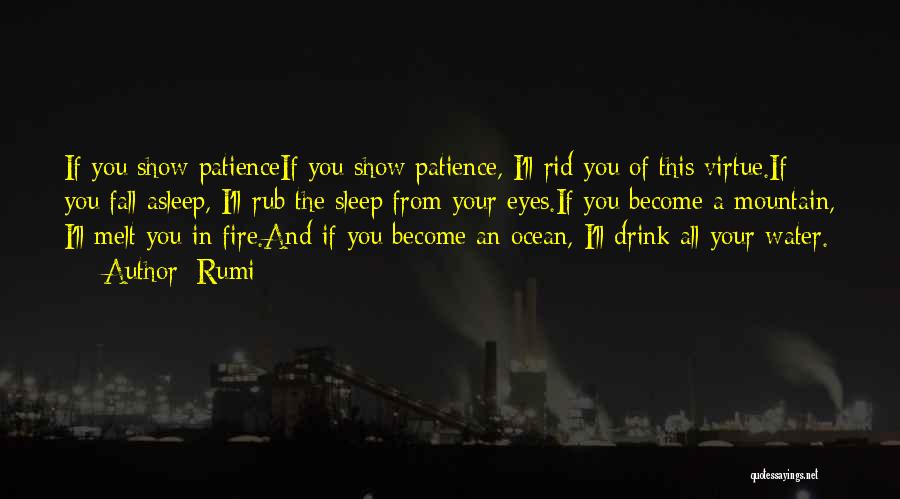 Fire In Your Eyes Quotes By Rumi