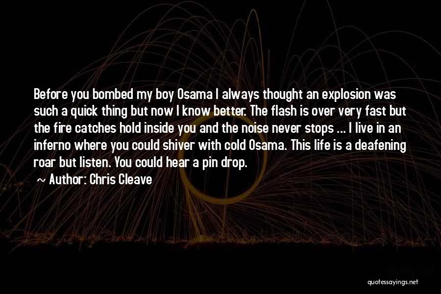 Fire Inside Quotes By Chris Cleave