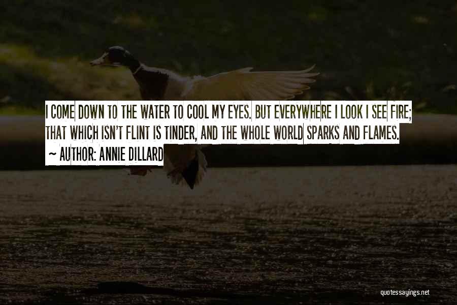 Fire Sparks Quotes By Annie Dillard