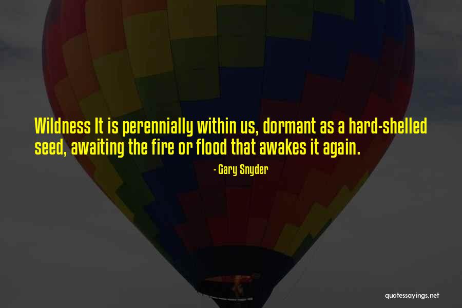 Fire Within Us Quotes By Gary Snyder Fire Within Us Quotes By Gary Snyder