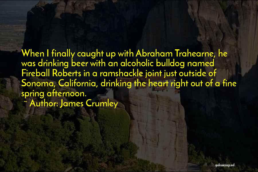 Fireball Drinking Quotes By James Crumley