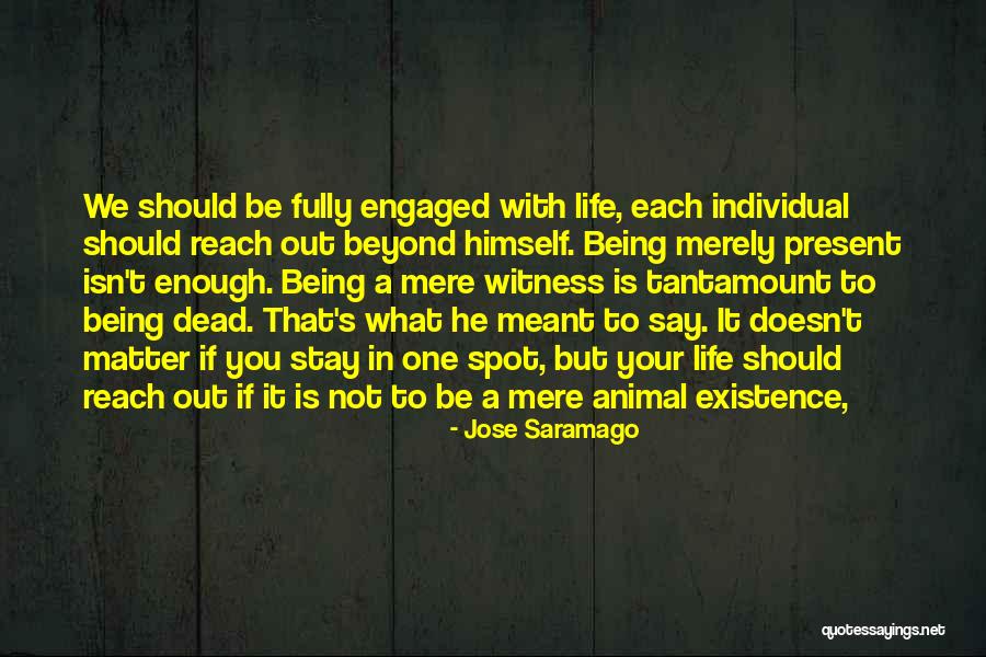 Firebright Disease Quotes By Jose Saramago Firebright Disease Quotes By Jose Saramago