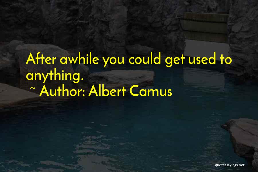 Firefall Maple Quotes By Albert Camus