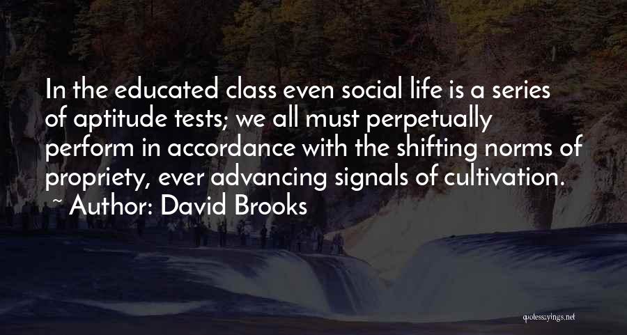 Firefall Maple Quotes By David Brooks