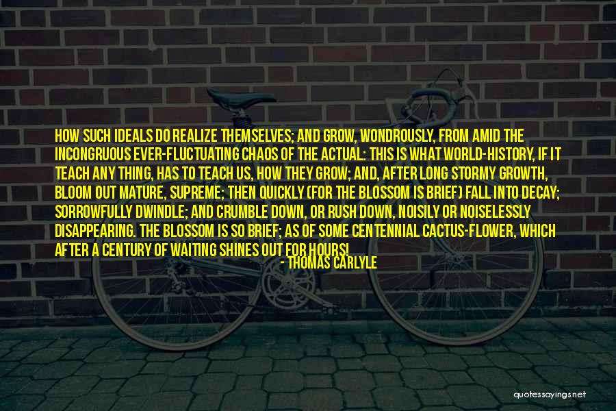 Fireflies In December Quotes By Thomas Carlyle Fireflies In December Quotes By Thomas Carlyle