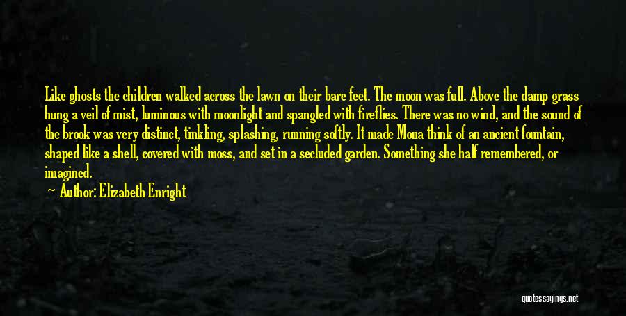 Fireflies Quotes By Elizabeth Enright