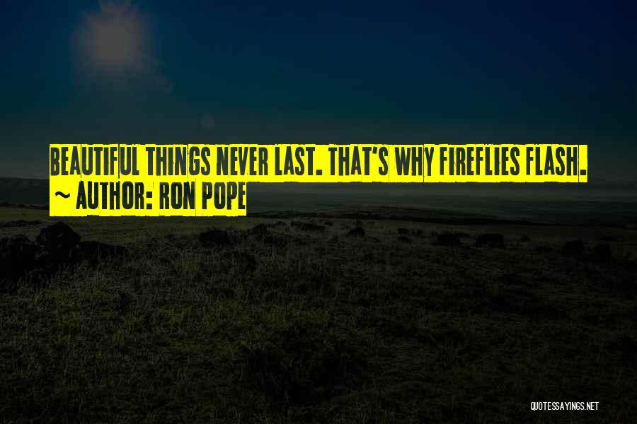 Fireflies Quotes By Ron Pope