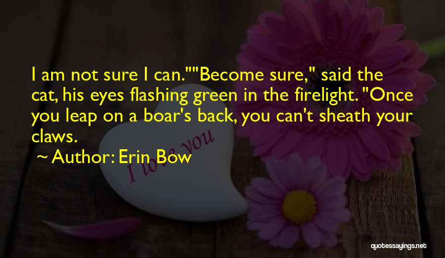 Firelight Quotes By Erin Bow