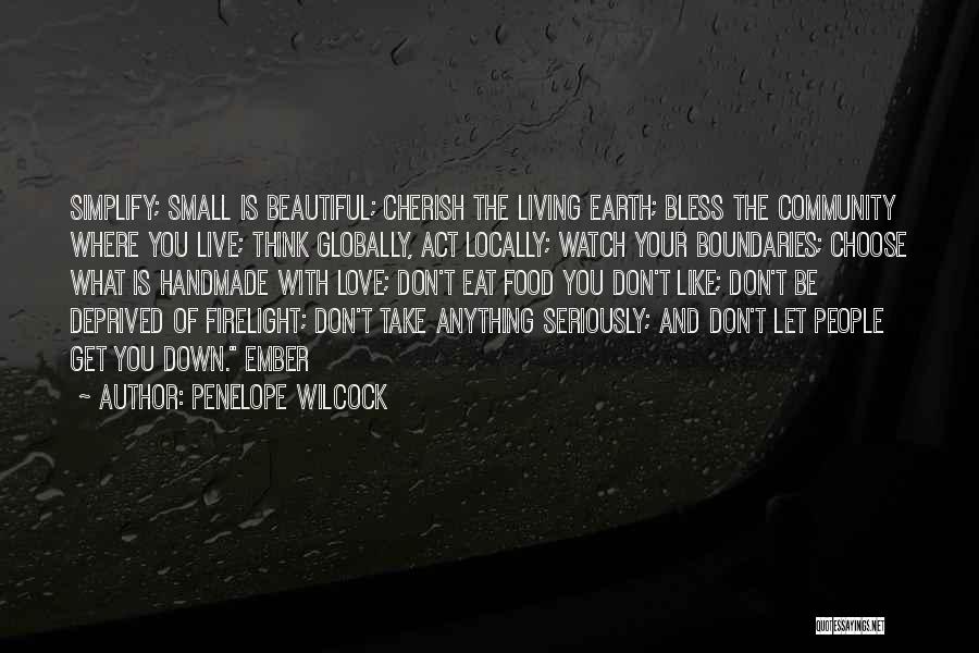 Firelight Quotes By Penelope Wilcock