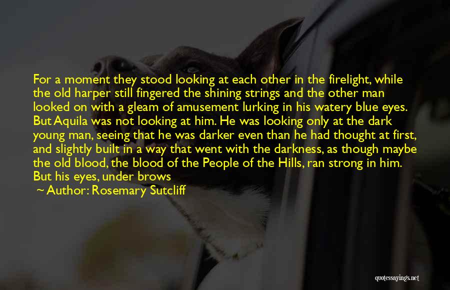 Firelight Quotes By Rosemary Sutcliff