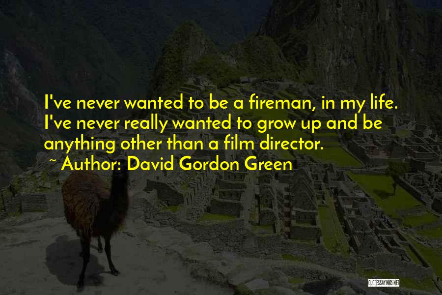 Fireman Quotes By David Gordon Green