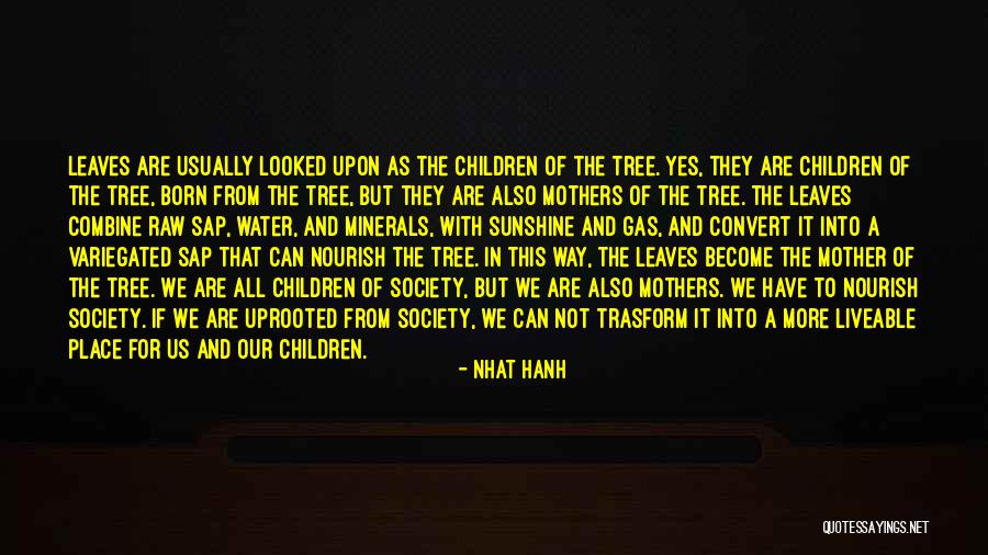 Firemans First Cu Quotes By Nhat Hanh Firemans First Cu Quotes By Nhat Hanh