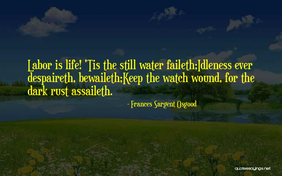 Firemans Hose Quotes By Frances Sargent Osgood Firemans Hose Quotes By Frances Sargent Osgood