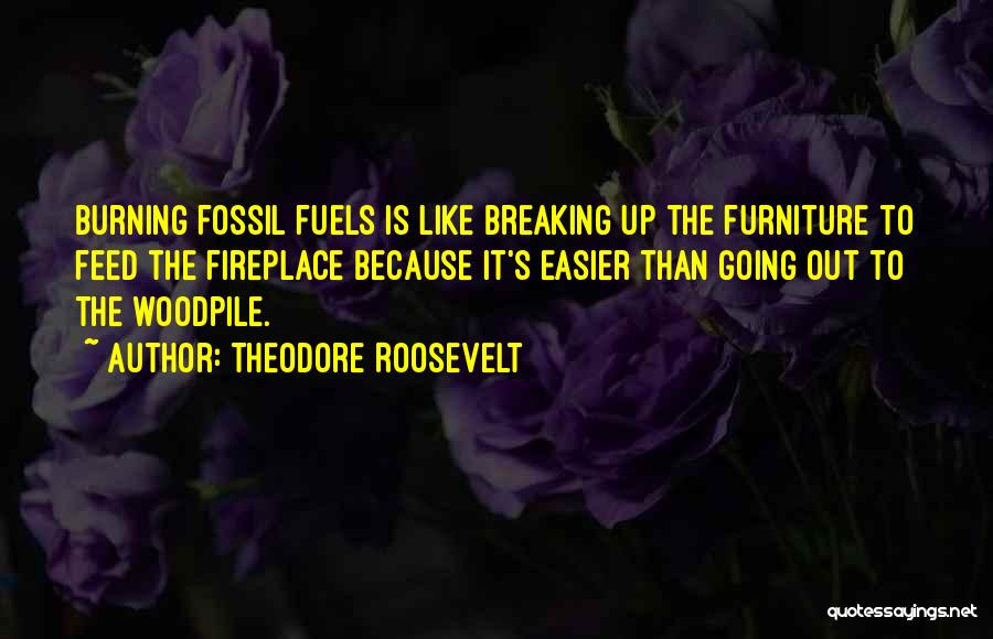 Fireplace Quotes By Theodore Roosevelt