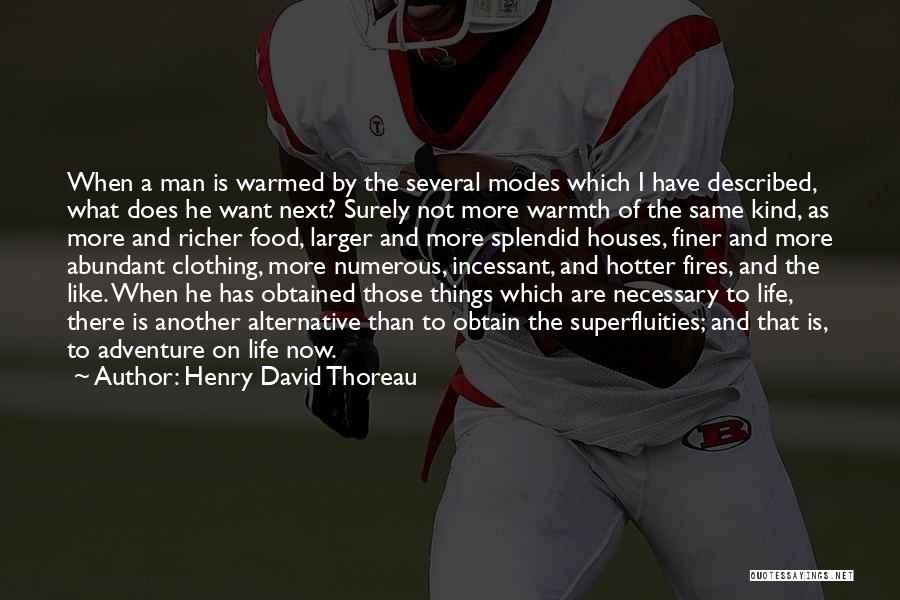 Fires And Life Quotes By Henry David Thoreau