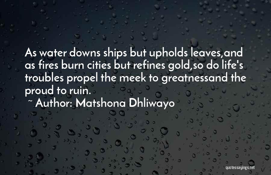 Fires And Life Quotes By Matshona Dhliwayo