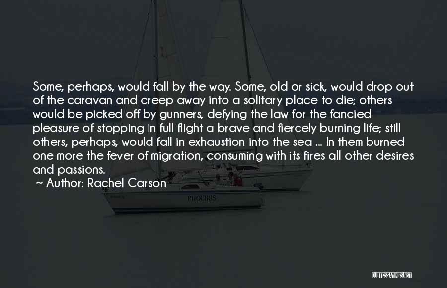 Fires And Life Quotes By Rachel Carson