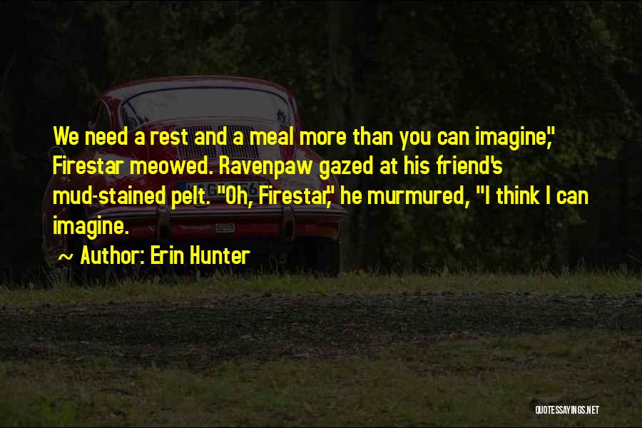 Firestar Quotes By Erin Hunter