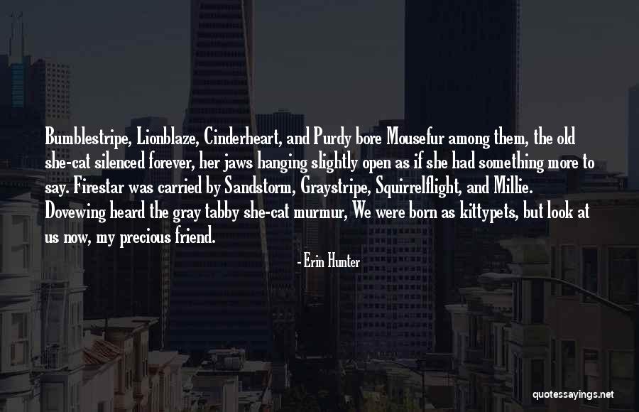 Firestar Sandstorm Quotes By Erin Hunter Firestar Sandstorm Quotes By Erin Hunter