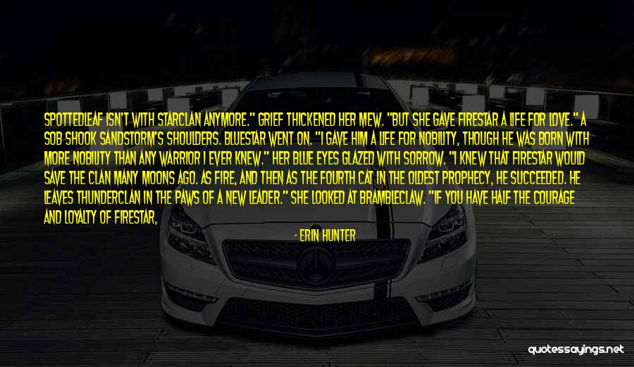 Firestar Sandstorm Quotes By Erin Hunter Firestar Sandstorm Quotes By Erin Hunter