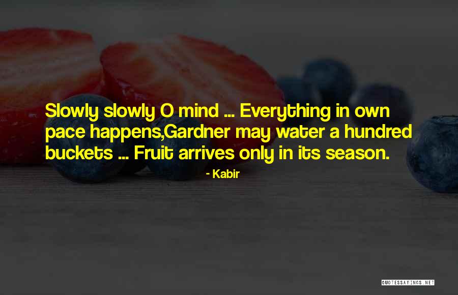 Firestick Quotes By Kabir Firestick Quotes By Kabir