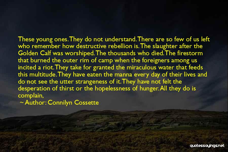 Firestorm Quotes By Connilyn Cossette