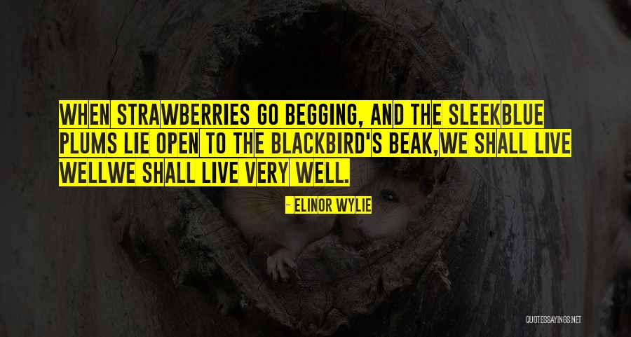 Firewhiskey Christmas Quotes By Elinor Wylie Firewhiskey Christmas Quotes By Elinor Wylie