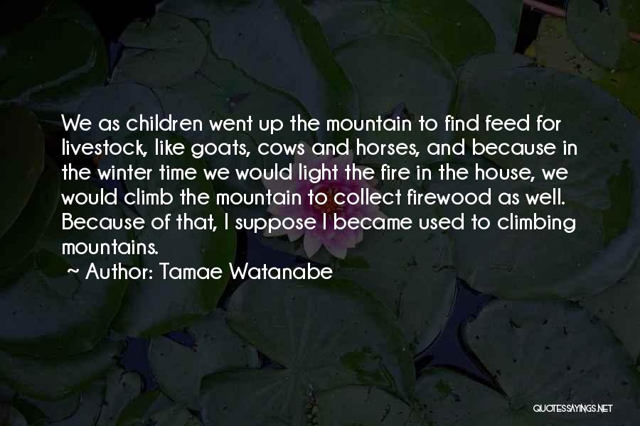 Firewood Quotes By Tamae Watanabe