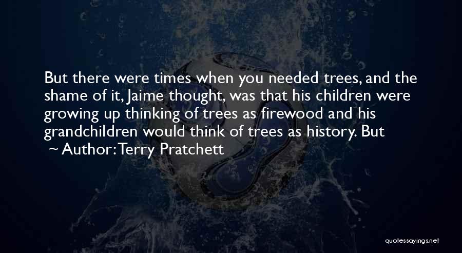 Firewood Quotes By Terry Pratchett